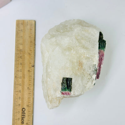 watermelon tourmaline on matrix next to a ruler for size reference