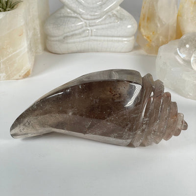 Rutilated Smoky Quartz Crystal Conch Shell - One-of-a-Kind back view