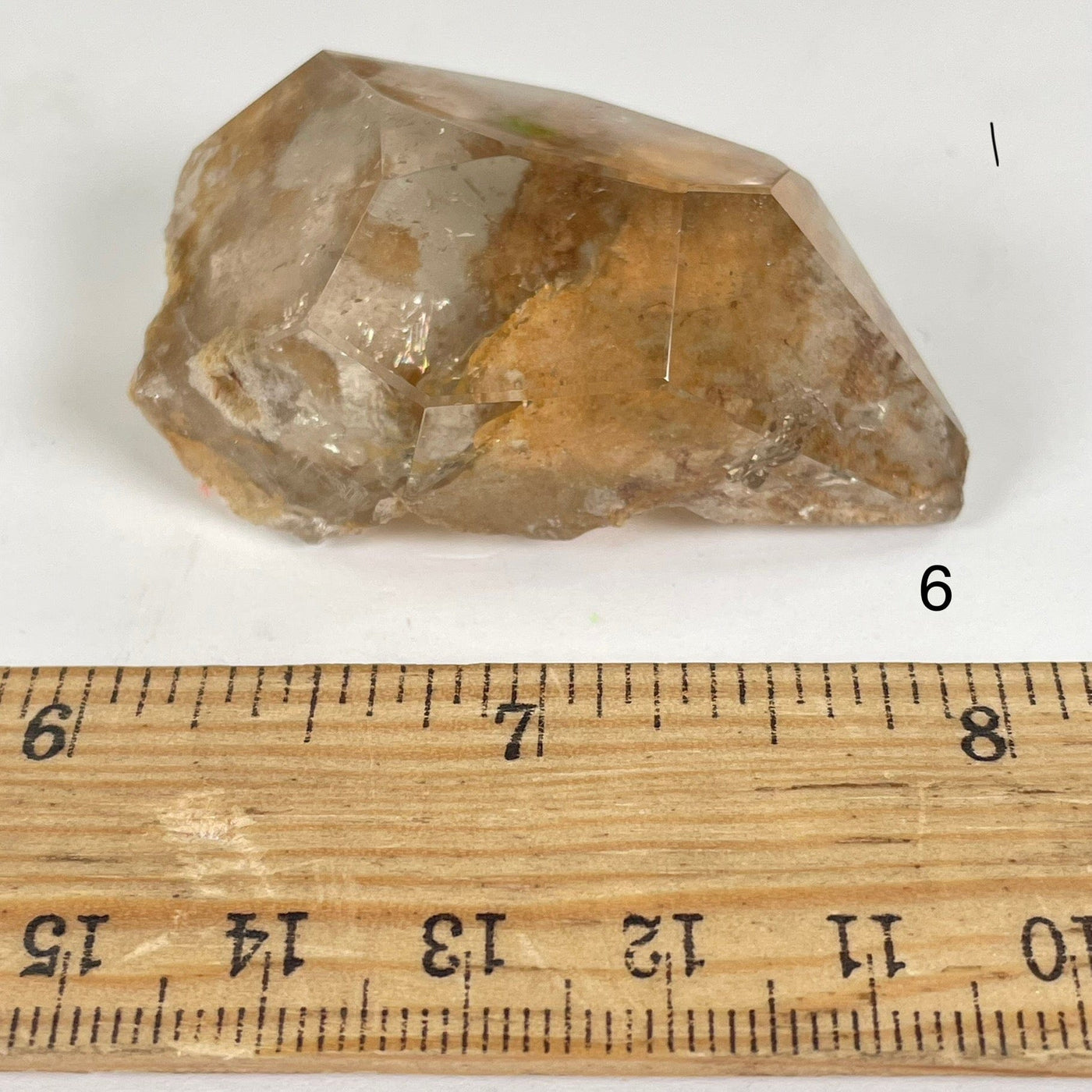 Garden Quartz Lodalite Polished Crystal Prism next to a ruler for size reference Choice #6