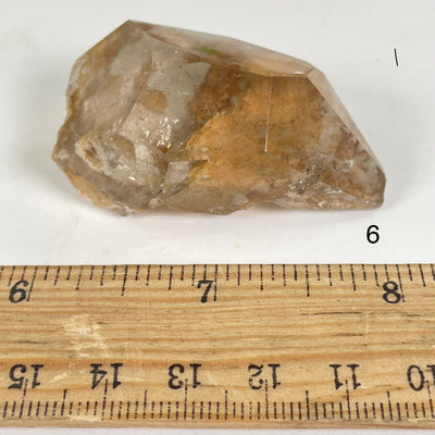 Garden Quartz Lodalite Polished Crystal Prism next to a ruler for size reference Choice #6