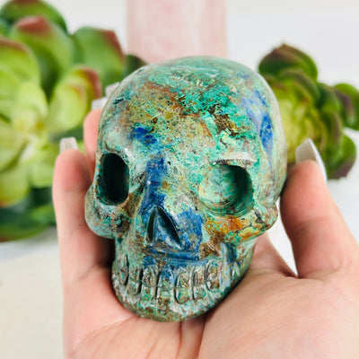 Azurite with Malachite Crystal Skull in hand for size reference