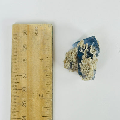 Blue fluorite crystal next to a ruler for size reference