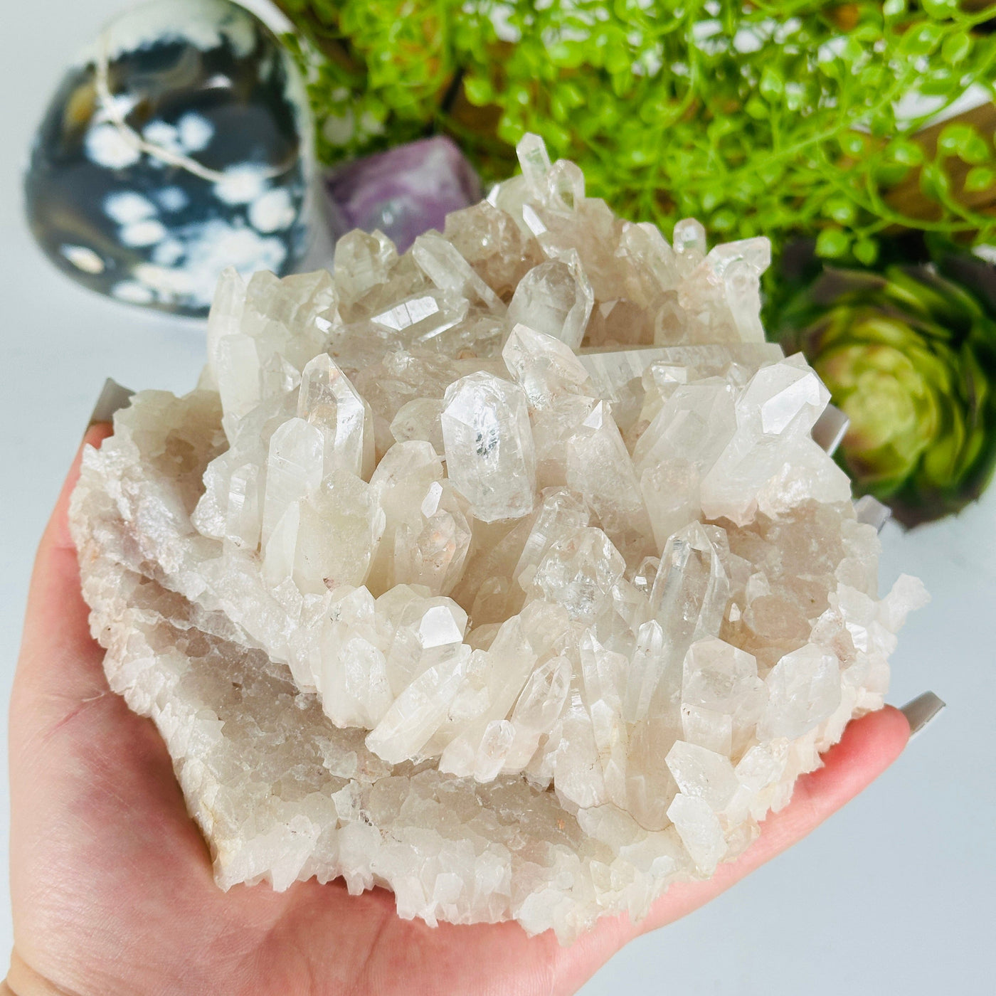 Lemurian Tangerine Quartz - High Grade Crystal Cluster - One-of-a-Kind #3 in hand for size reference with props and plants in the background