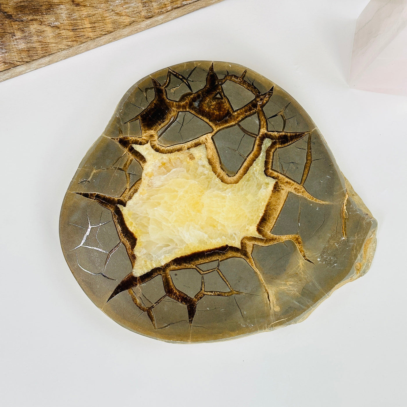 Septarian slab with decorations in the background