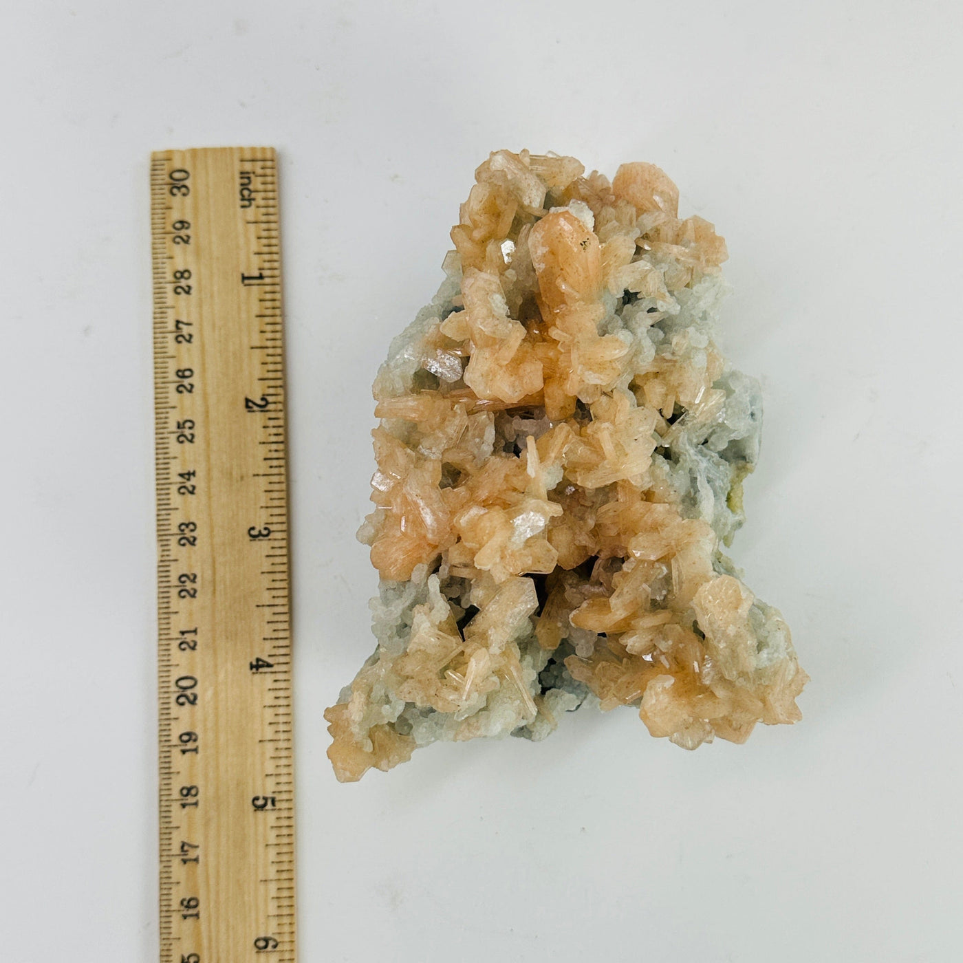 apophyllite with peach stilbite next to a ruler for size reference