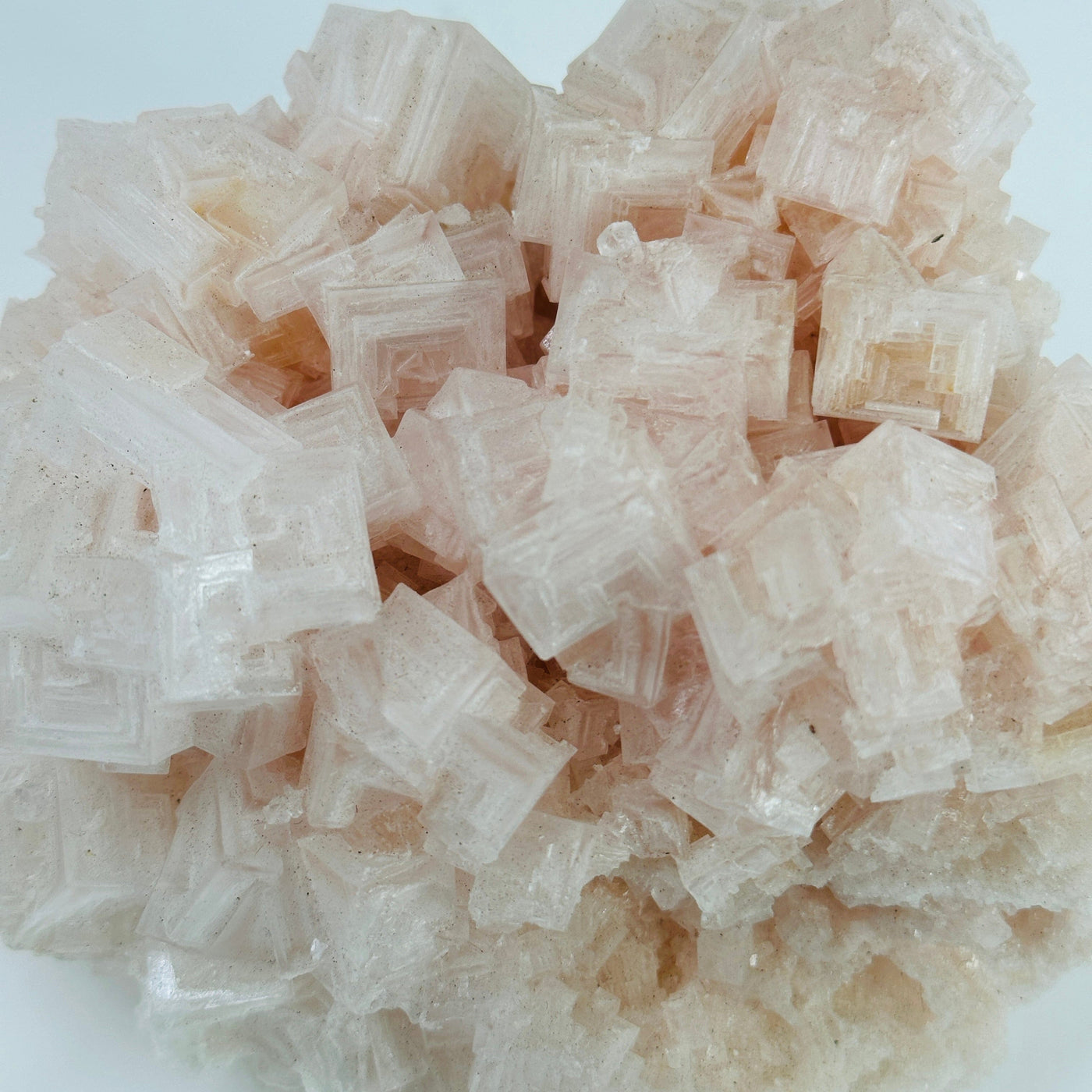 up close shot of pink halite cluster 