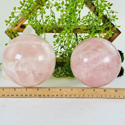 Rose Quartz Crystal Sphere - You Choose both variants with ruler for size reference