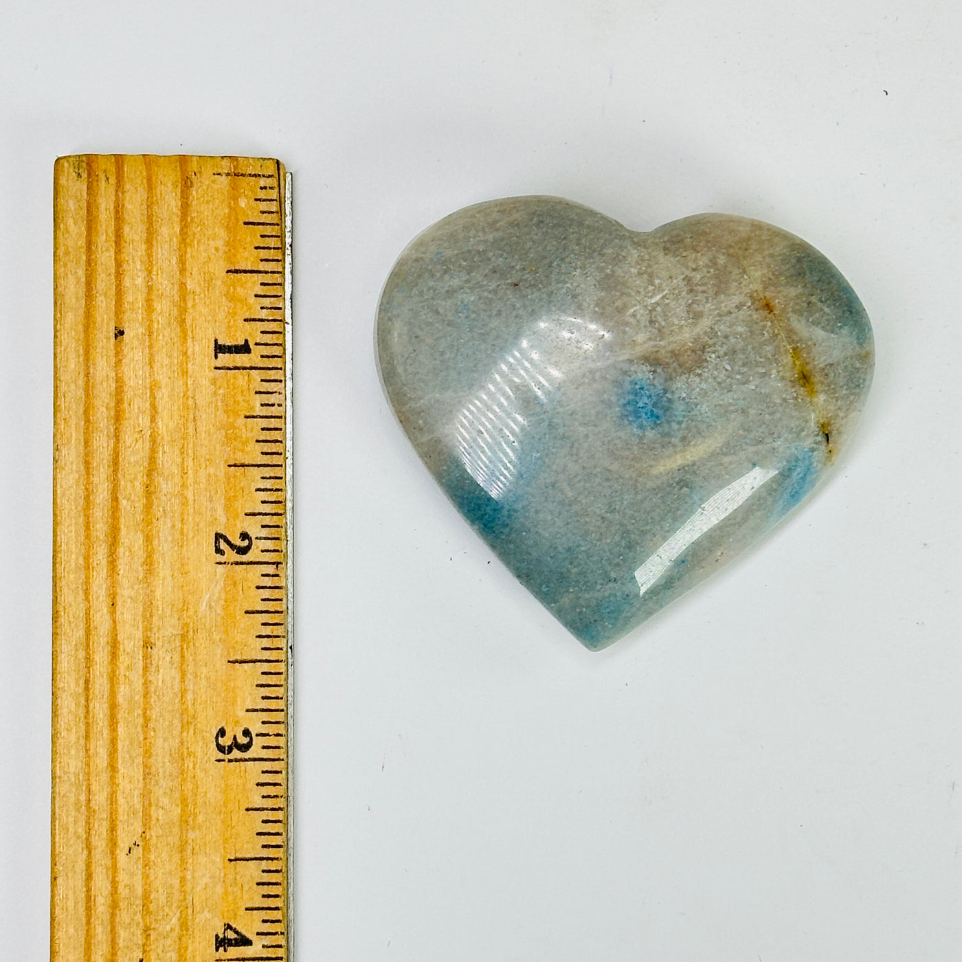 trolleite heart next to a ruler for size reference