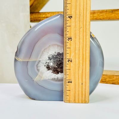 agate flame point mushroom next to a ruler for size reference