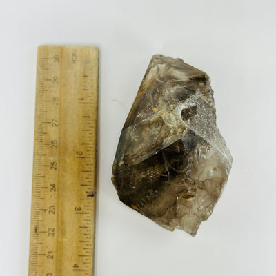 smokey quartz next to a ruler for size reference