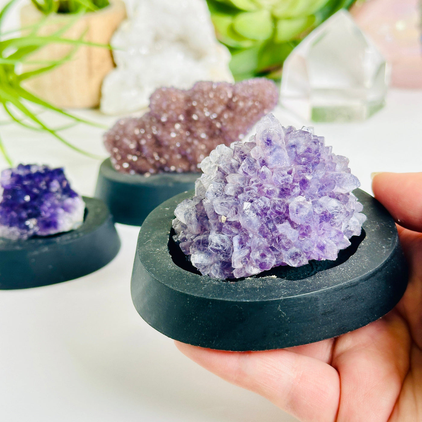 Amethyst Pine Crystal Cluster on Wooden Base from Uruguay - You Choose #3 variant 3 in hand for size reference with other variants in the background with props and plants