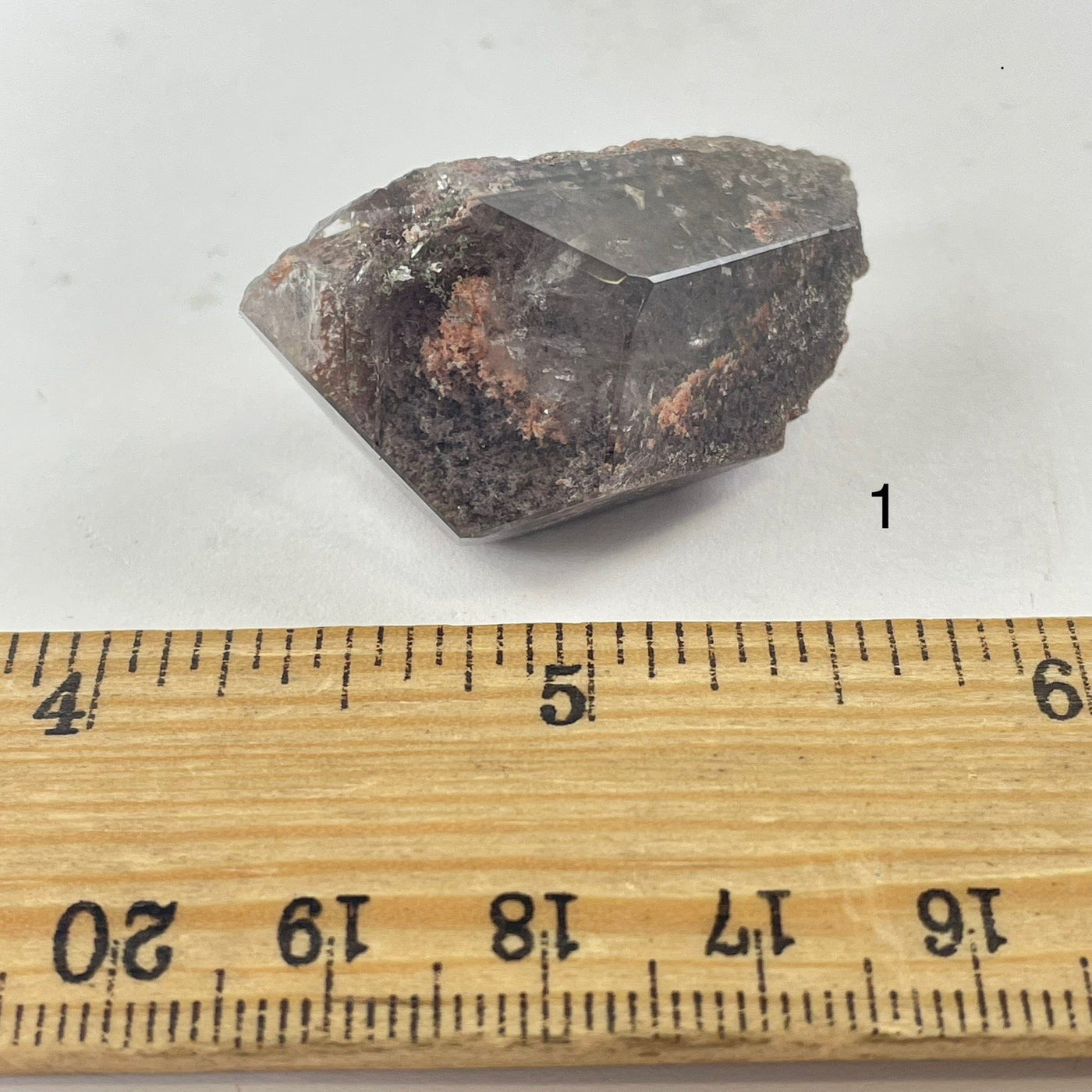 Garden Quartz Lodalite Polished Crystal Prism next to a ruler for size reference Choice #1