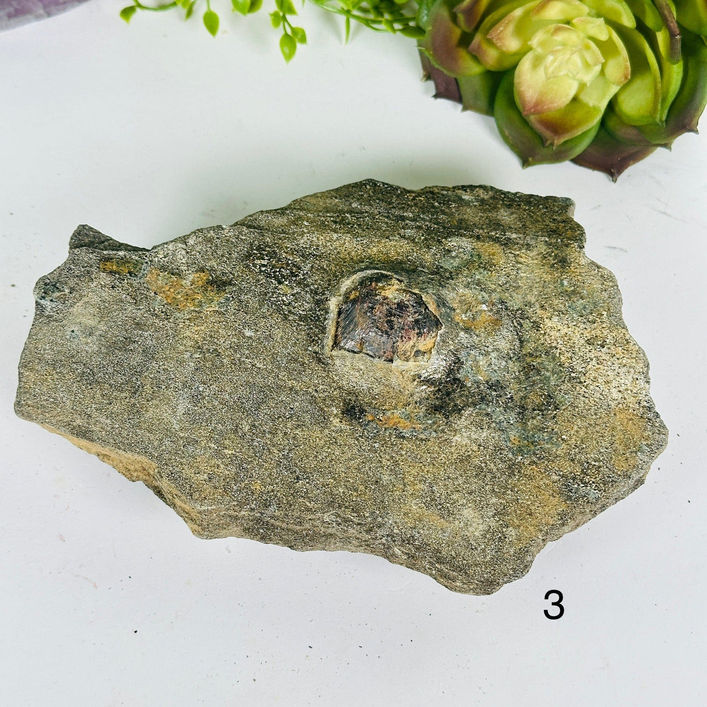 Garnet Crystals in Mica Schist - You Choose #2 variant 3 labeled