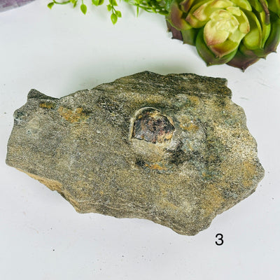 Garnet Crystals in Mica Schist - You Choose #2 variant 3 labeled