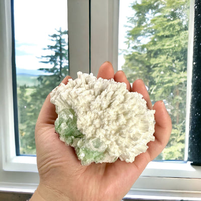Zeolite with Green Apophyllite on Matrix - Crystal Formation - in hand for size reference in front of window with trees in background
