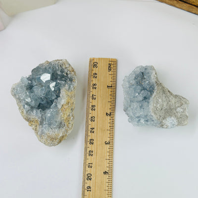 CELESTITE CLUSTERS next to a ruler for size reference