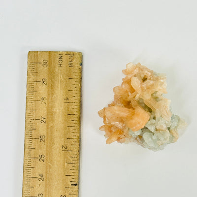 peach apophyllite cluster next to a ruler for size reference