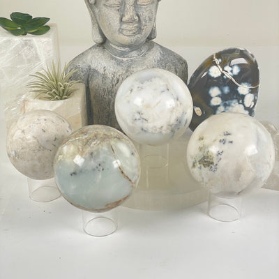 Dendritic Opal Crystal Sphere - As Is - You Choose all variants front view with props and plants in the background