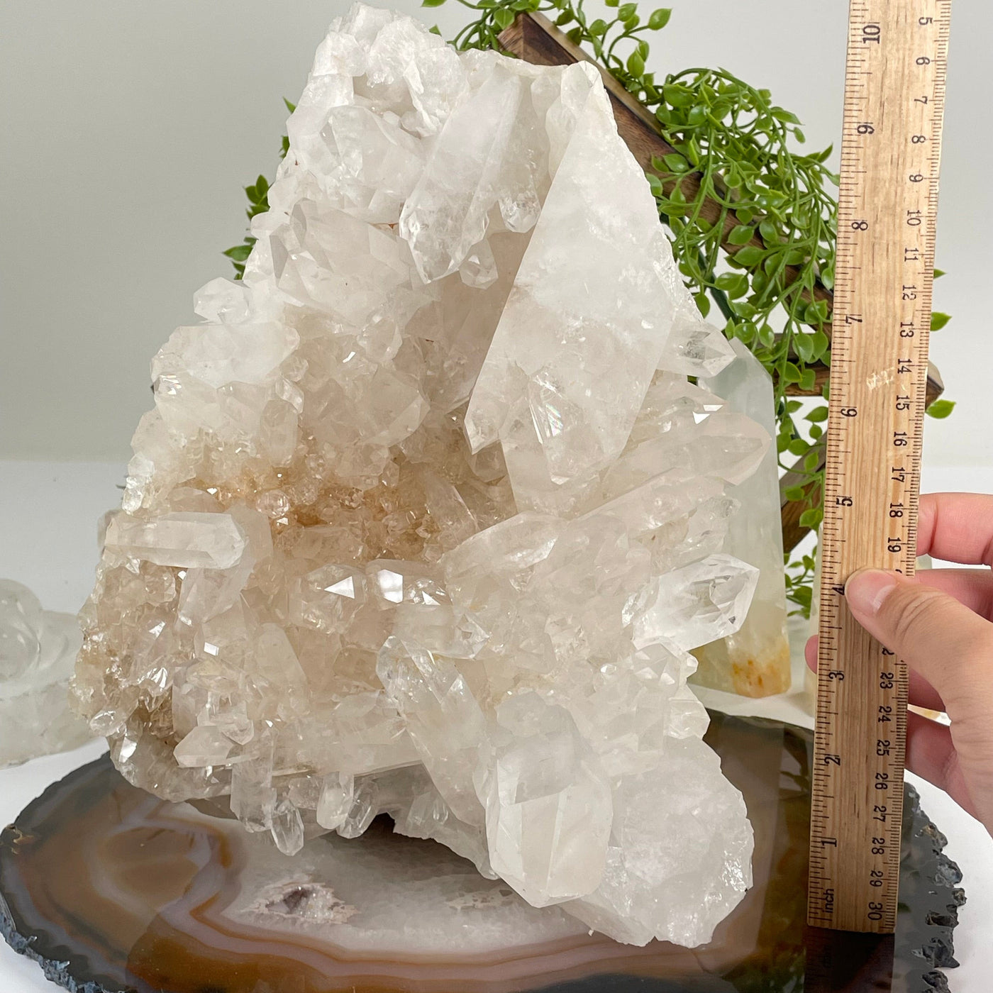 Large High Grade Crystal Quartz Cluster #1 with ruler for size reference