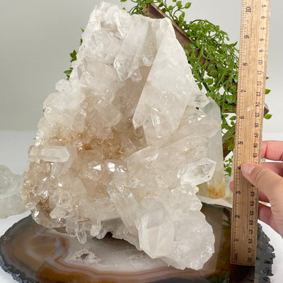 Large High Grade Crystal Quartz Cluster #1 with ruler for size reference