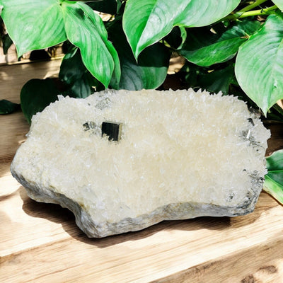 Cubic Pyrite on High Grade Crystal Quartz Cluster - Rare Find front view on wooden surface with plants in the background