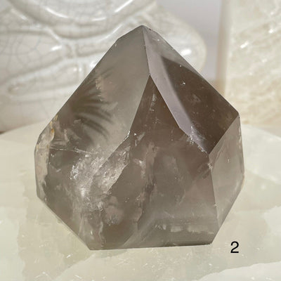 Crystal Quartz Point with Phantoms - You Choose #1 variant 2 labeled