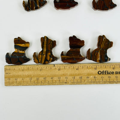 tigers eye dog cabochons next to a ruler for size reference
