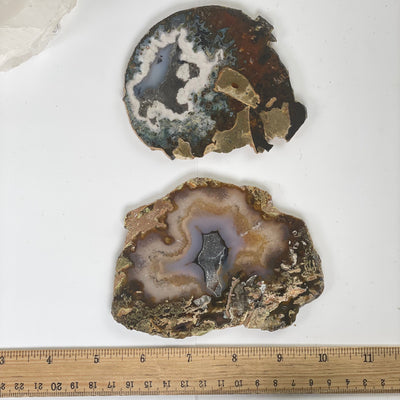 Scenic Moss Agate Crystal Slice - You Choose both variants with ruler for size reference