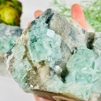 Water-Clear Green Cubic Fluorite on Crystal Quartz Druzy from China - Rare Find - You Choose variant 1 in hand for size reference with other variant in the background