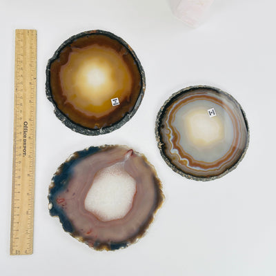 agate slices next to a ruler for size reference