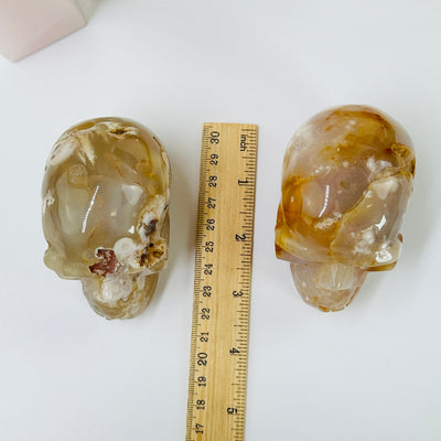 flower agate skulls next to a ruler for size reference