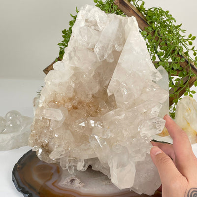 Large High Grade Crystal Quartz Cluster #1 in hand for size reference