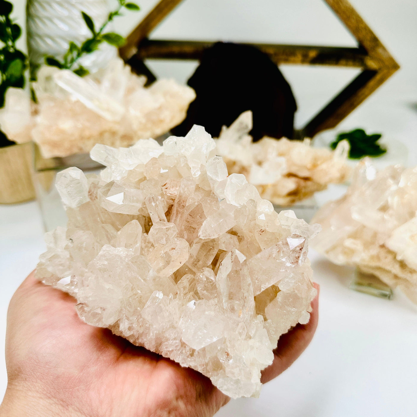  Lemurian Tangerine Quartz - High Grade Crystal Cluster - You Choose variant D in hand with other variants in background