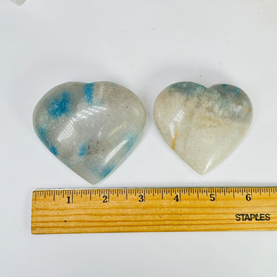 trolleite heart next to a ruler for size reference