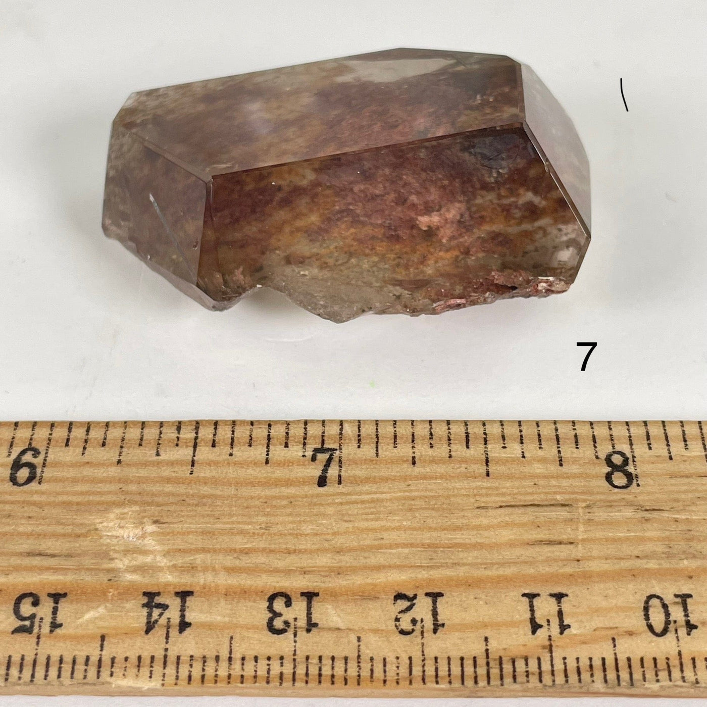 Garden Quartz Lodalite Polished Crystal Prism next to a ruler for size reference Choice #7