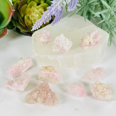 Rose Quartz Natural Small Crystal Cluster - Rare Find - You Choose all variants with props and plants in the background