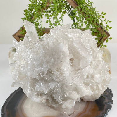 Large High Grade Crystal Quartz Cluster #2