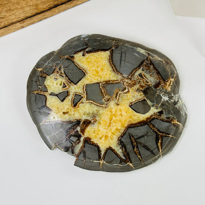 septarian coaster with decorations in the background