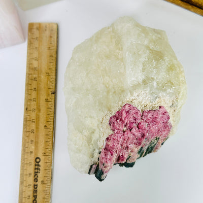 watermelon tourmaline next to a ruler for size reference