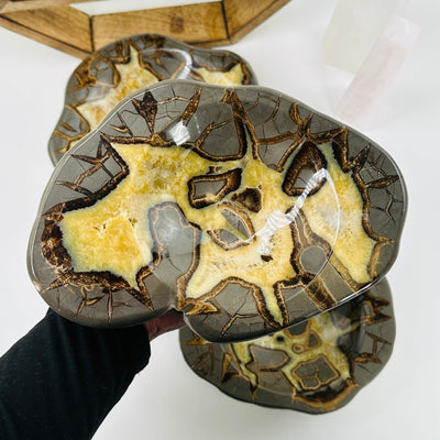 septarian bowl with decorations in the background