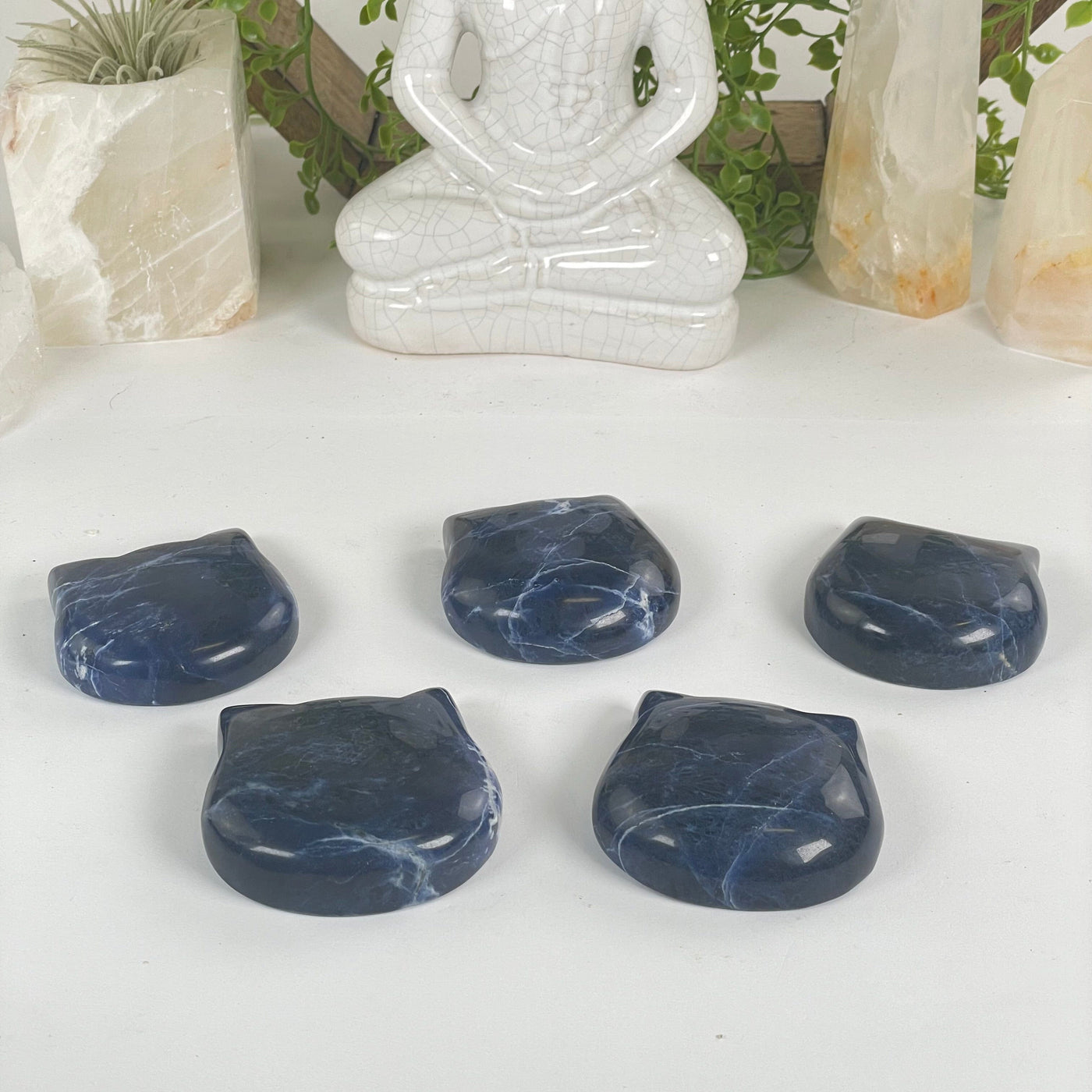 Sodalite Polished Crystal Cat Head - You Choose all variants side view