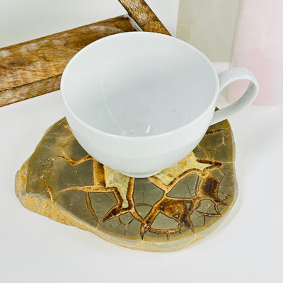 septarian slab with a cup on it