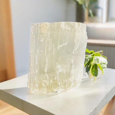 selenite log with decorations in the background