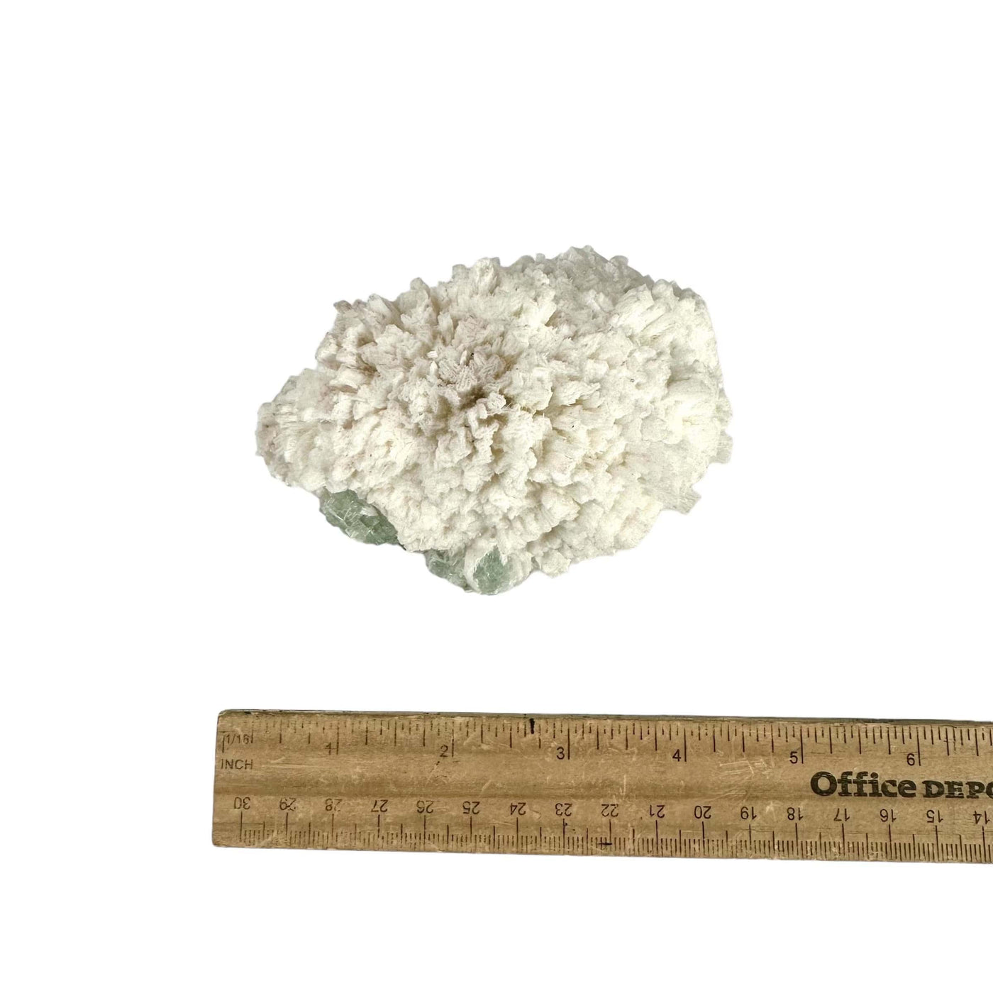 Zeolite with Green Apophyllite on Matrix - Crystal Formation - top view with ruler for size reference
