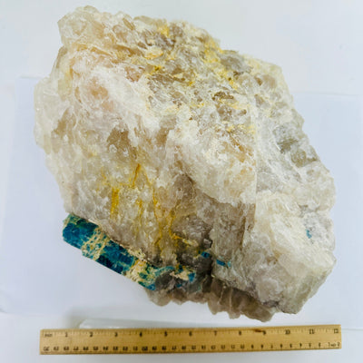 Aquamarine in matrix - extra large aquamarine crystal in natural rough stone top view with ruler for size reference