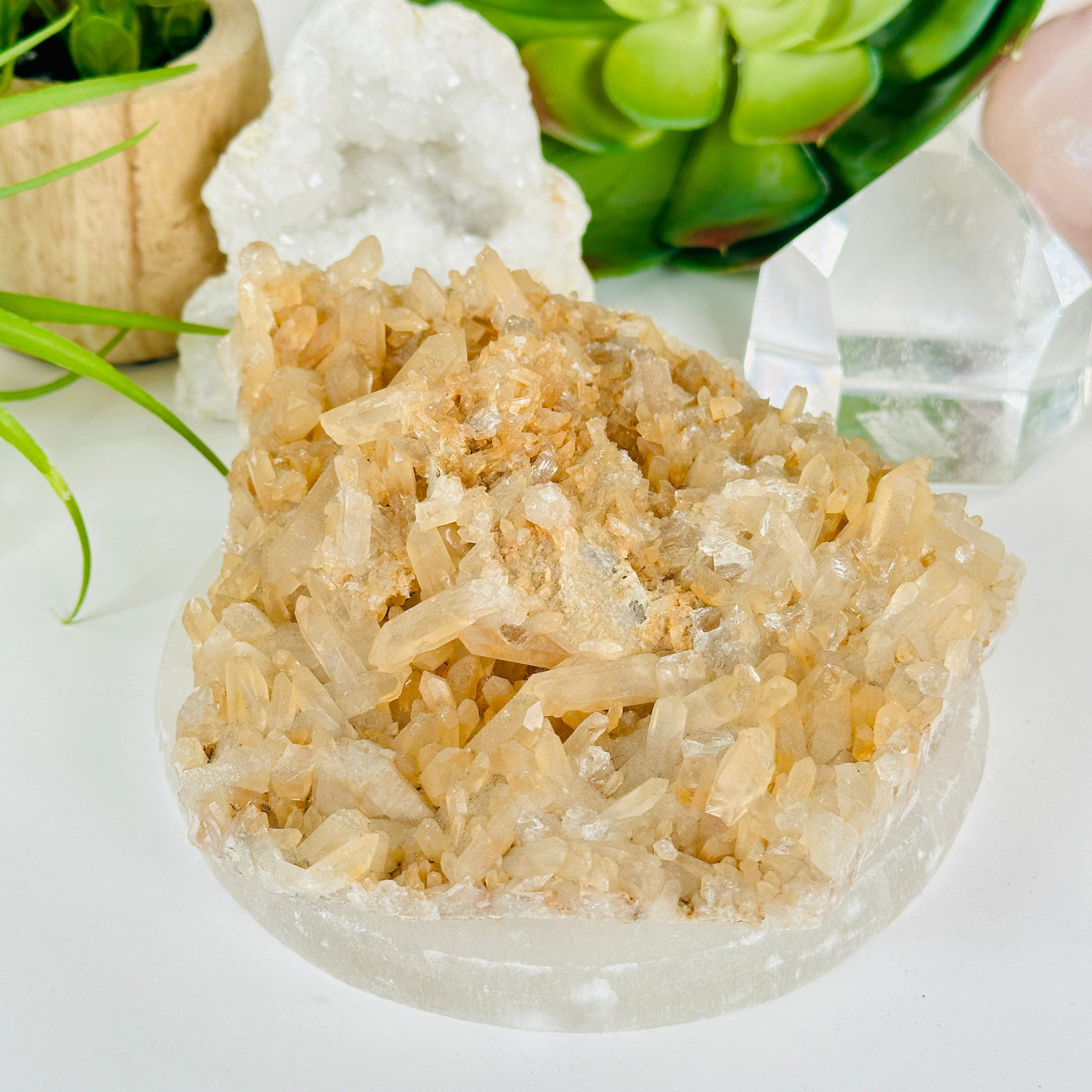 Tangerine Quartz Crystal Cluster - One of a Kind #3 front view