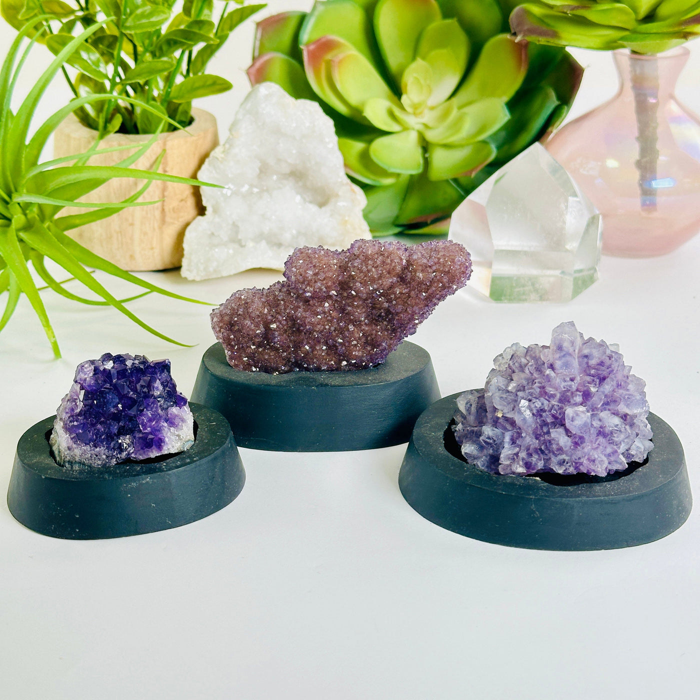 Amethyst Pine Crystal Cluster on Wooden Base from Uruguay - You Choose #3 all variants with props and plants in the background