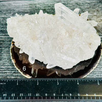 Crystal Quartz Cluster - AA Grade - You Choose #6 variant 6 labeled