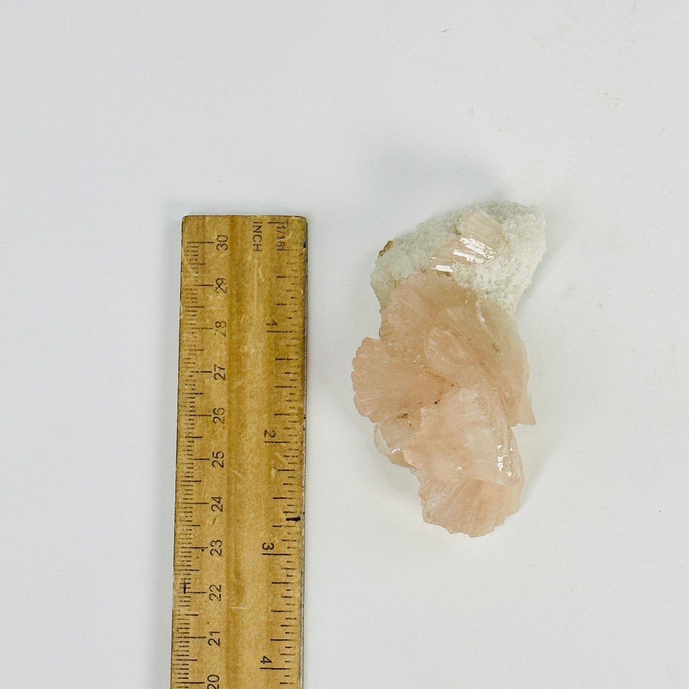 peach apophyllite cluster next to a ruler for size reference