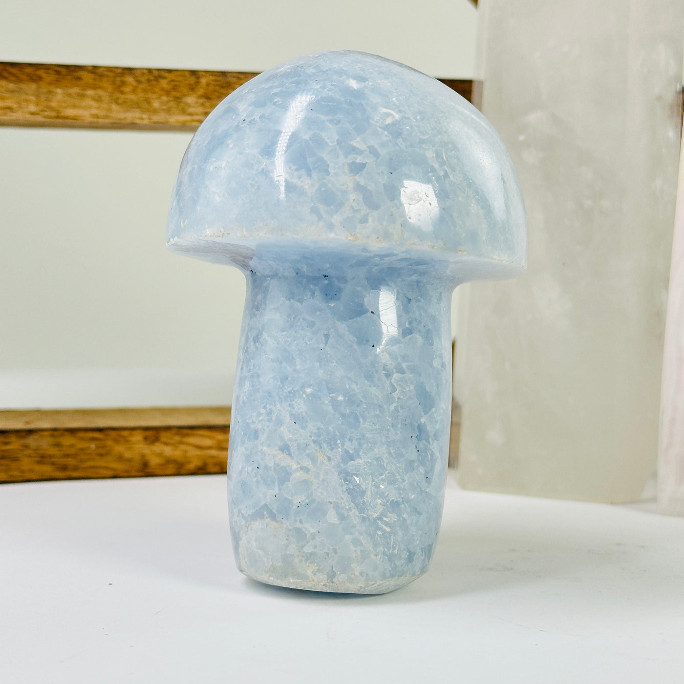 calcite mushroom with decorations in the background